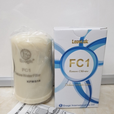 LÕI LỌC TRONG FC1